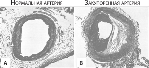 Иллюстрация к книге — Чудо-вода [i_019.jpg]