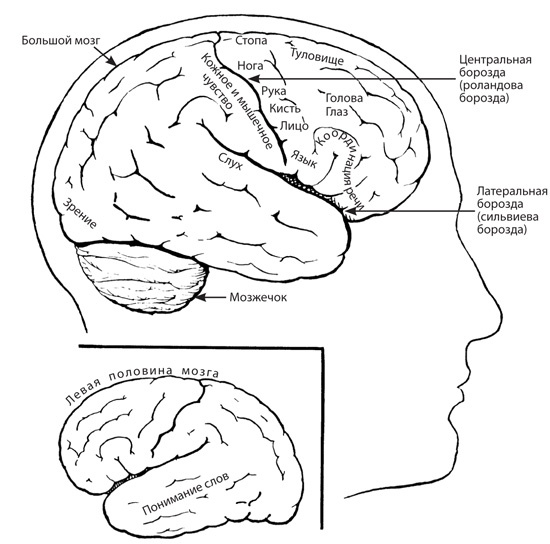 Иллюстрация к книге — Чудо-вода [i_020.jpg]
