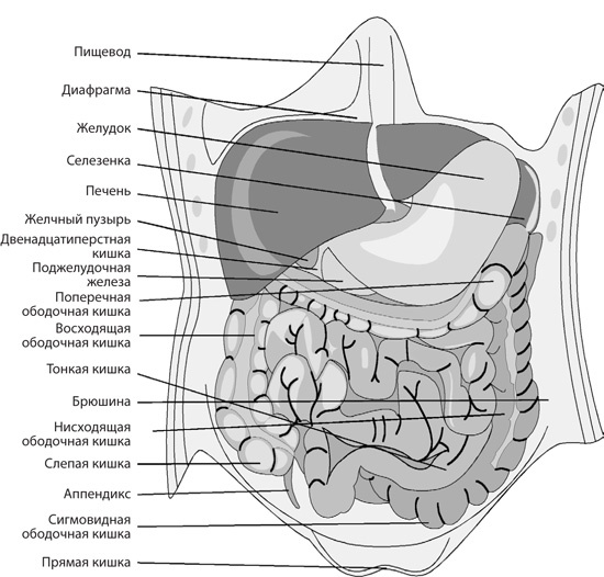 Иллюстрация к книге — Чудо-вода [i_024.jpg]