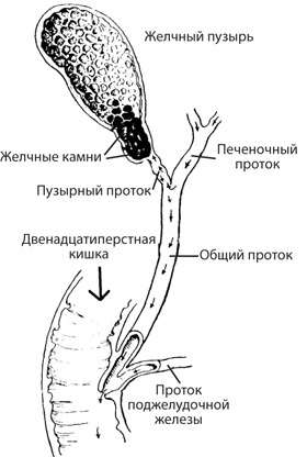 Иллюстрация к книге — Чудо-вода [i_037.jpg]