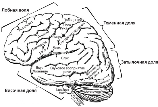 Иллюстрация к книге — Чудо-вода [i_051.jpg]