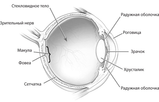 Иллюстрация к книге — Чудо-вода [i_062.jpg]