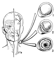 Иллюстрация к книге — Чудо-вода [i_082.jpg]