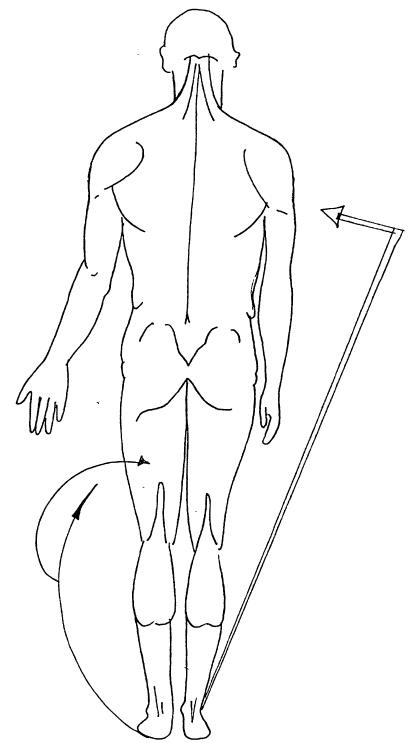 Иллюстрация к книге — Лечение сексом. Целебные силы интимных отношений [i_008.jpg]