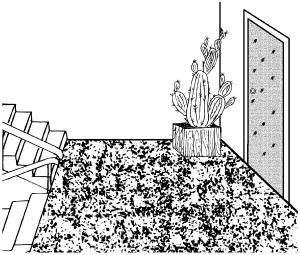 Иллюстрация к книге — Молодость и долголетие с фэн-шуй [i_018.jpg]