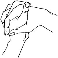 Иллюстрация к книге — Молодость и долголетие с фэн-шуй [i_023.jpg]