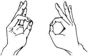 Иллюстрация к книге — Молодость и долголетие с фэн-шуй [i_028.jpg]