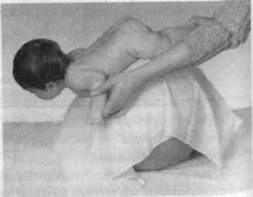 Иллюстрация к книге — Infantia. Учебник первого года. Игры и упражнения для самых маленьких [image018.jpg]