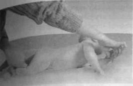 Иллюстрация к книге — Infantia. Учебник первого года. Игры и упражнения для самых маленьких [image029.jpg]