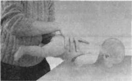 Иллюстрация к книге — Infantia. Учебник первого года. Игры и упражнения для самых маленьких [image031.jpg]