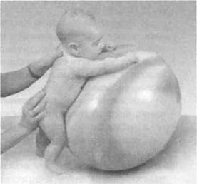 Иллюстрация к книге — Infantia. Учебник первого года. Игры и упражнения для самых маленьких [image049.jpg]