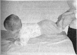 Иллюстрация к книге — Infantia. Учебник первого года. Игры и упражнения для самых маленьких [image059.jpg]