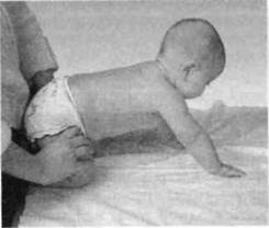 Иллюстрация к книге — Infantia. Учебник первого года. Игры и упражнения для самых маленьких [image067.jpg]