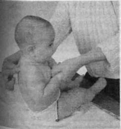 Иллюстрация к книге — Infantia. Учебник первого года. Игры и упражнения для самых маленьких [image071.jpg]