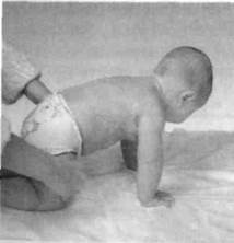 Иллюстрация к книге — Infantia. Учебник первого года. Игры и упражнения для самых маленьких [image073.jpg]