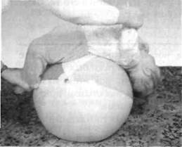 Иллюстрация к книге — Infantia. Учебник первого года. Игры и упражнения для самых маленьких [image102.jpg]