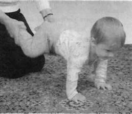 Иллюстрация к книге — Infantia. Учебник первого года. Игры и упражнения для самых маленьких [image109.jpg]