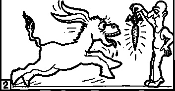 Иллюстрация к книге — Симорон из первых рук, или Бурлан-до. Как достичь того, чего достичь невозможно [i_012.jpg]