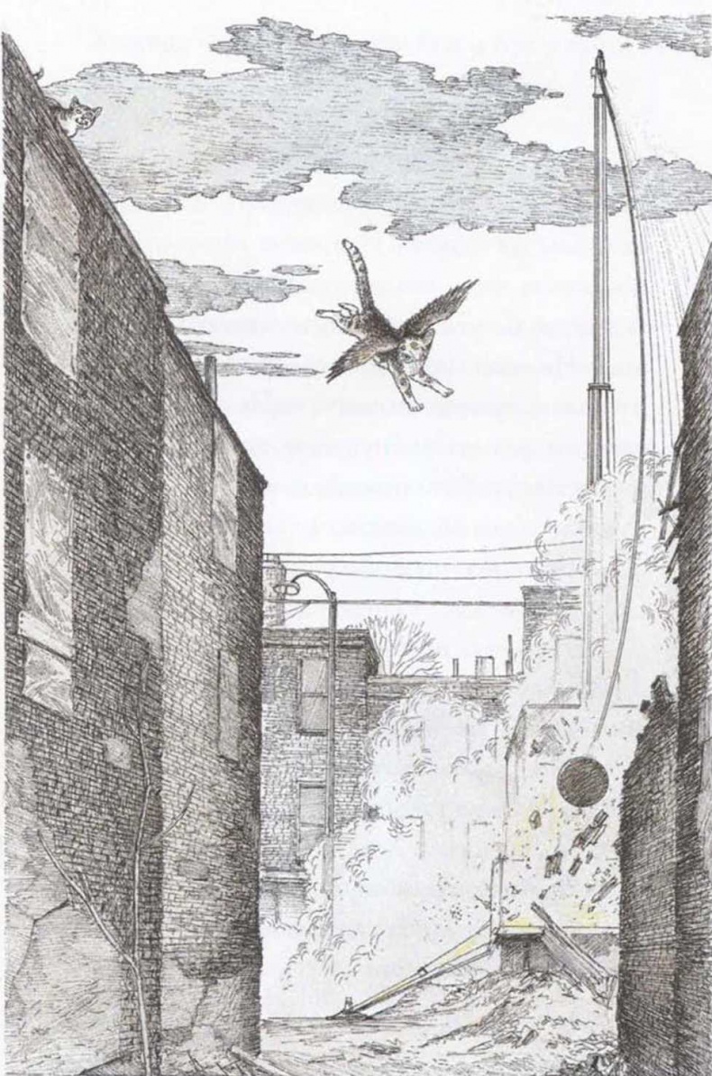 Иллюстрация к книге — Крылатые кошки возвращаются [i_009.jpg]