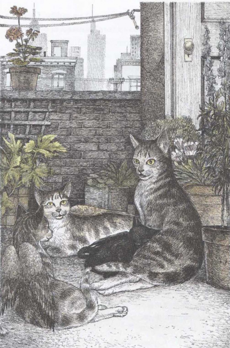 Иллюстрация к книге — Крылатые кошки возвращаются [i_018.jpg]