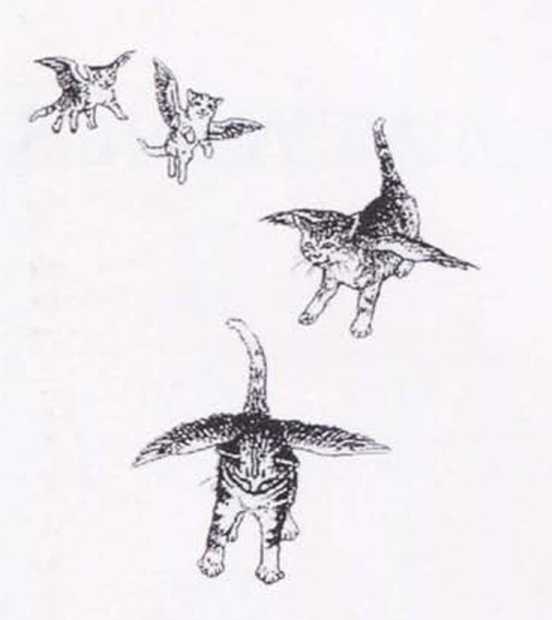 Иллюстрация к книге — Крылатые кошки [i_001.jpg]