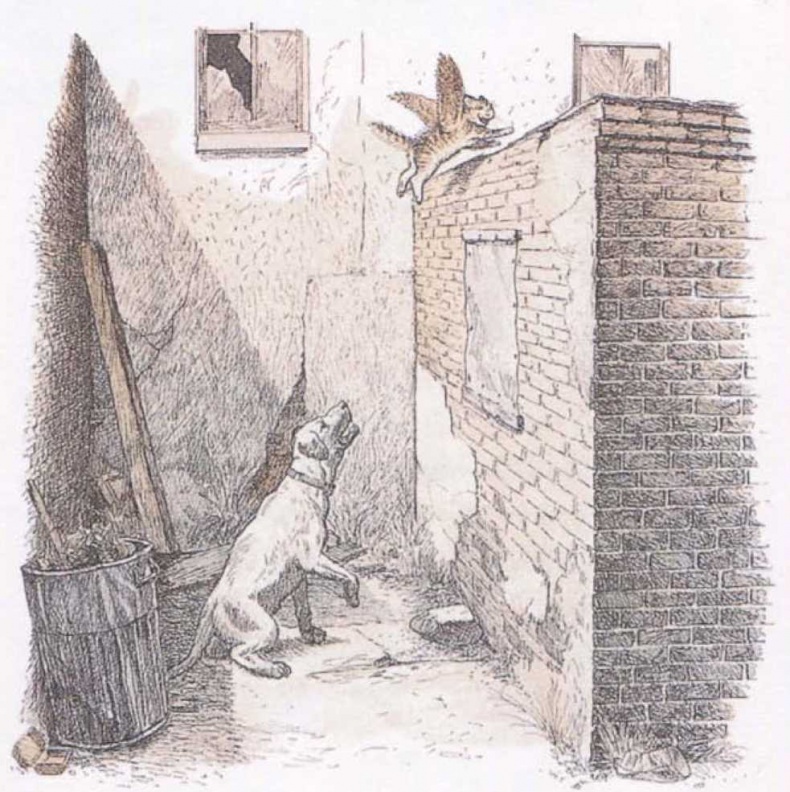 Иллюстрация к книге — Крылатые кошки [i_006.jpg]