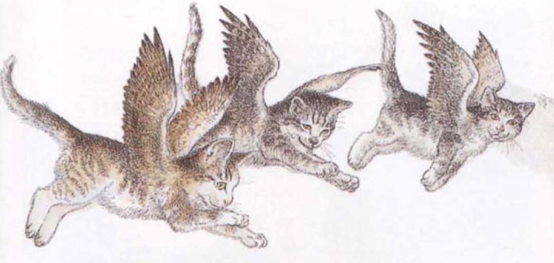 Иллюстрация к книге — Крылатые кошки [i_010.jpg]