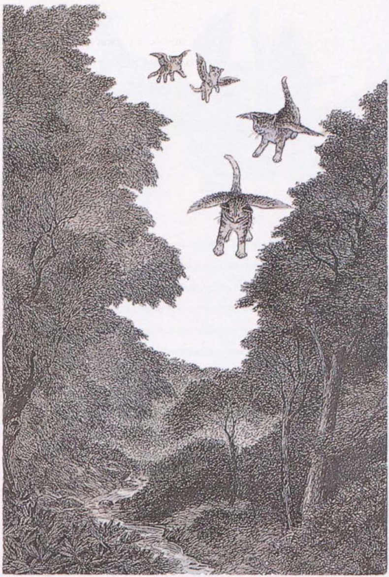 Иллюстрация к книге — Крылатые кошки [i_011.jpg]