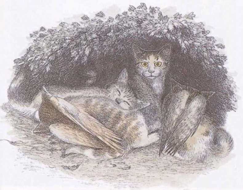 Иллюстрация к книге — Крылатые кошки [i_013.jpg]