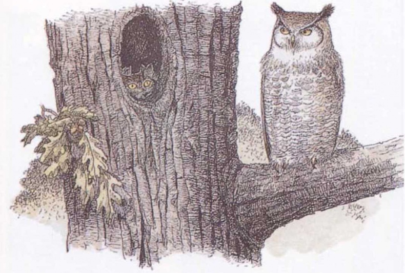 Иллюстрация к книге — Крылатые кошки [i_017.jpg]