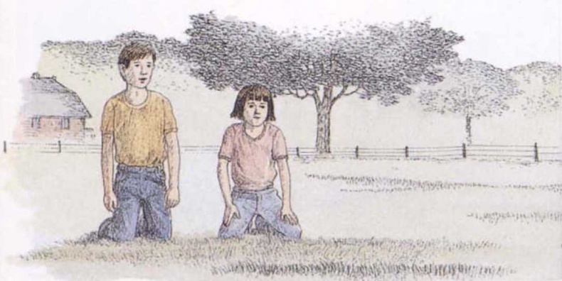 Иллюстрация к книге — Крылатые кошки [i_023.jpg]