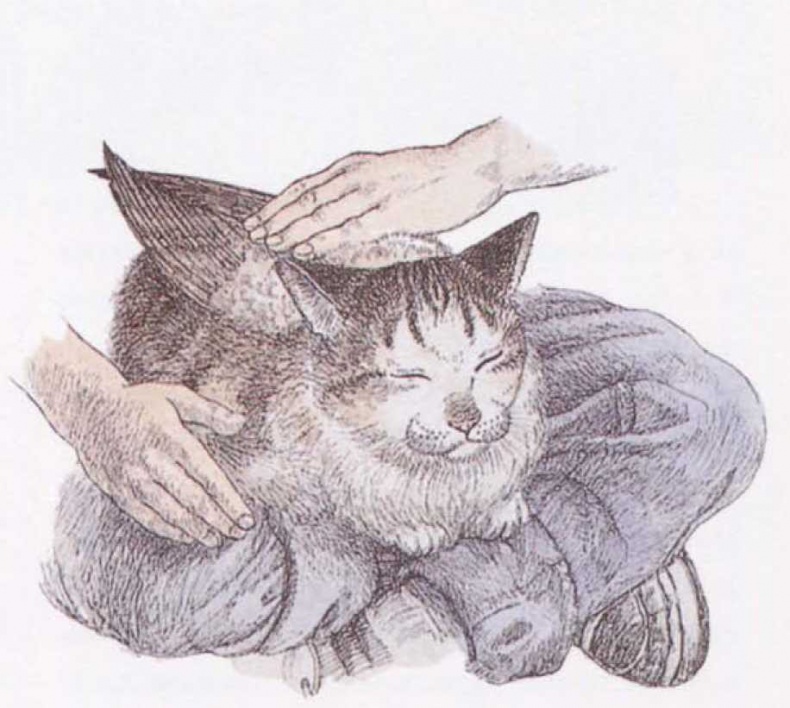 Иллюстрация к книге — Крылатые кошки [i_027.jpg]