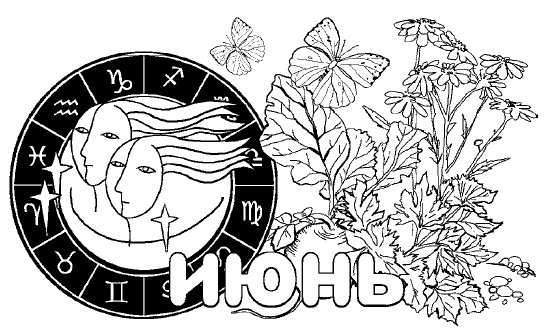 Иллюстрация к книге — Дачный лунный календарь на 2015 год [i_022.jpg]