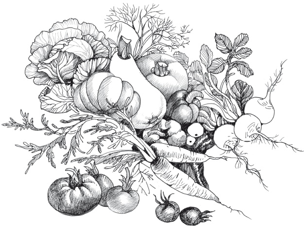 Иллюстрация к книге — Большой урожай на маленьких грядках. Все секреты повышения урожайности [i_011.jpg]