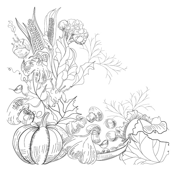 Иллюстрация к книге — Большой урожай на маленьких грядках. Все секреты повышения урожайности [i_015.jpg]