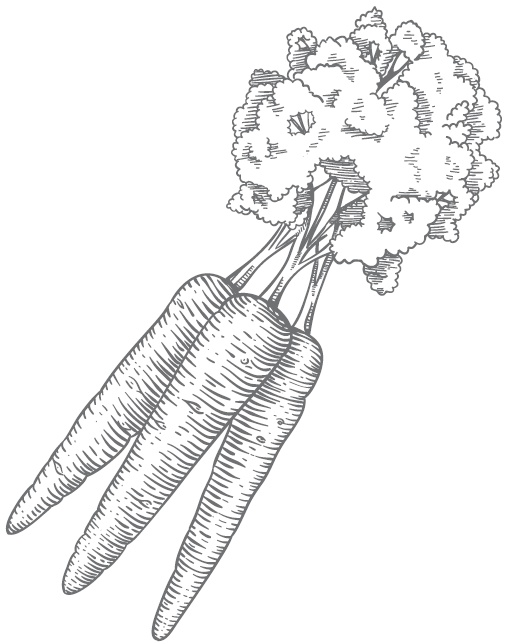 Иллюстрация к книге — Большой урожай на маленьких грядках. Все секреты повышения урожайности [i_018.jpg]