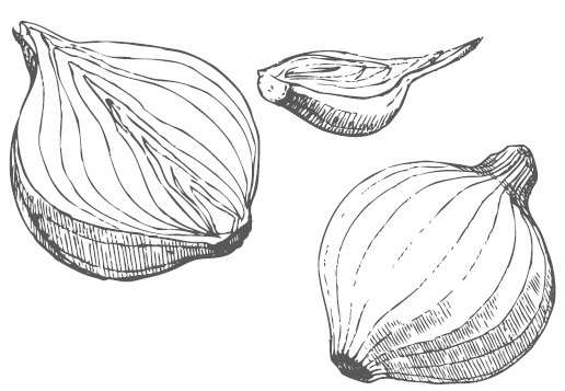 Иллюстрация к книге — Большой урожай на маленьких грядках. Все секреты повышения урожайности [i_019.jpg]