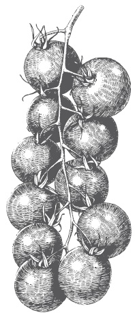 Иллюстрация к книге — Большой урожай на маленьких грядках. Все секреты повышения урожайности [i_027.jpg]