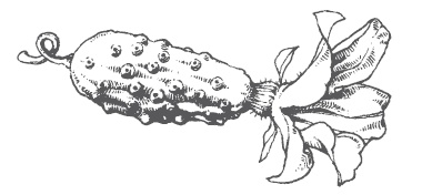 Иллюстрация к книге — Большой урожай на маленьких грядках. Все секреты повышения урожайности [i_032.jpg]