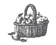 Иллюстрация к книге — Большой урожай на маленьких грядках. Все секреты повышения урожайности [i_053.jpg]