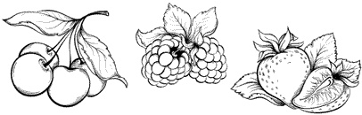 Иллюстрация к книге — Заготовки и соленья [i_001.jpg]