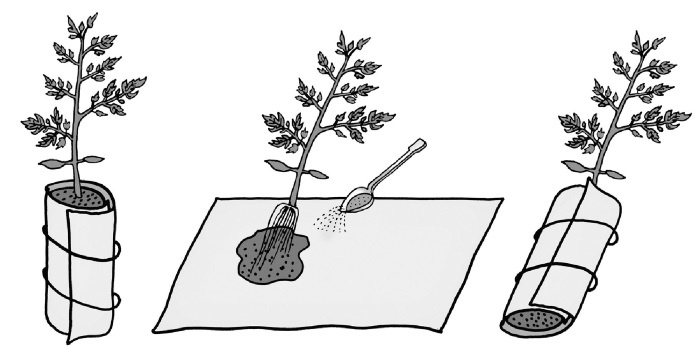 Иллюстрация к книге — Иллюстрированная энциклопедия огородника для новичков [i_007.jpg]