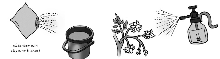 Иллюстрация к книге — Иллюстрированная энциклопедия огородника для новичков [i_012.jpg]