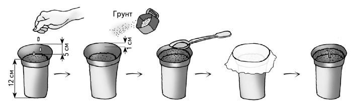 Иллюстрация к книге — Иллюстрированная энциклопедия огородника для новичков [i_017.jpg]