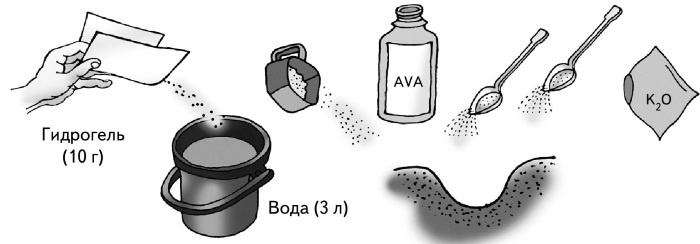 Иллюстрация к книге — Иллюстрированная энциклопедия огородника для новичков [i_039.jpg]