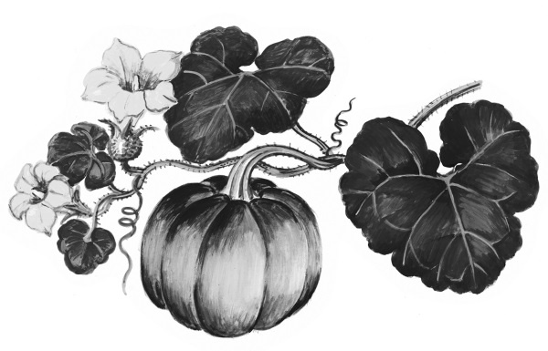 Иллюстрация к книге — Иллюстрированная энциклопедия огородника для новичков [i_046.jpg]