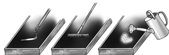 Иллюстрация к книге — Иллюстрированная энциклопедия огородника для новичков [i_067.jpg]