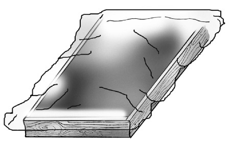 Иллюстрация к книге — Иллюстрированная энциклопедия огородника для новичков [i_080.jpg]