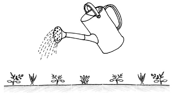 Иллюстрация к книге — Иллюстрированная энциклопедия огородника для новичков [i_081.jpg]