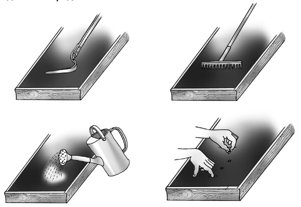 Иллюстрация к книге — Иллюстрированная энциклопедия огородника для новичков [i_088.jpg]